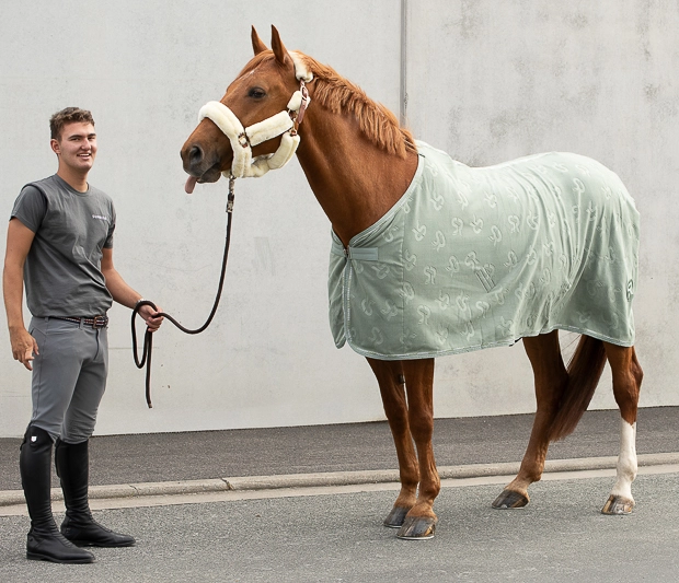 abschwitzdecke wellington olive auf dem pferd sowie leder und fellhalfter dover in braun mit strick und reiter