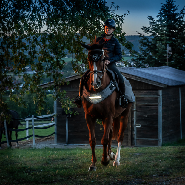 reiter auf seinem pferd mit der led decke new york mit beleuchtung in der dunkelheit beim ausreiten von vornen