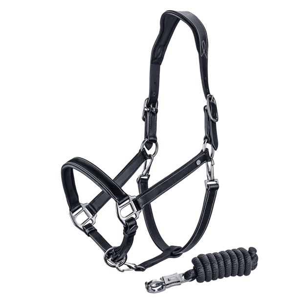 black leather halter dallas with silver mounting including matching lead rope by sunride