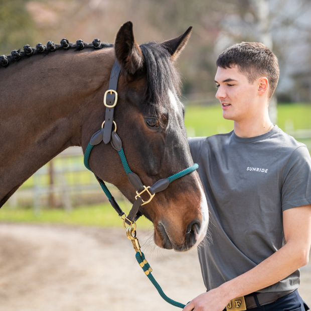 brown leather halter with green ropes and golden mounting denver including lead rope by sunride on a horse with rider