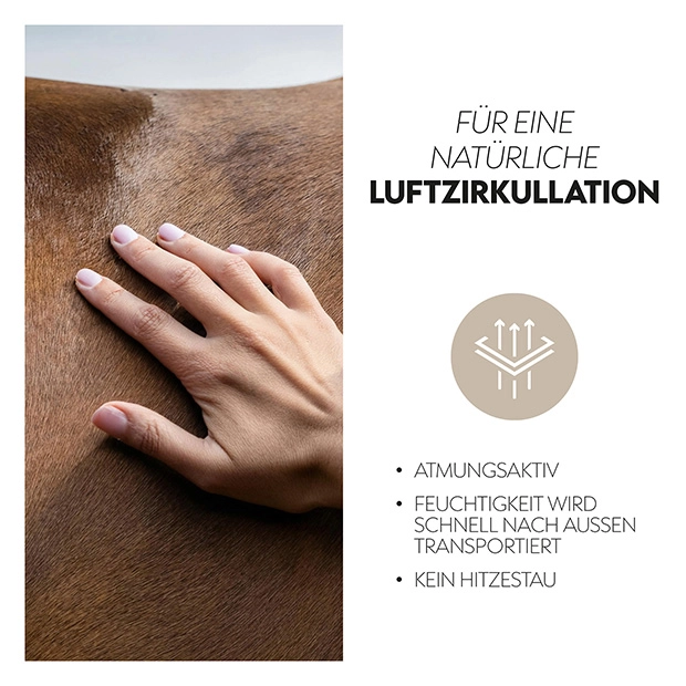 Fly Rug "Miami Classic"