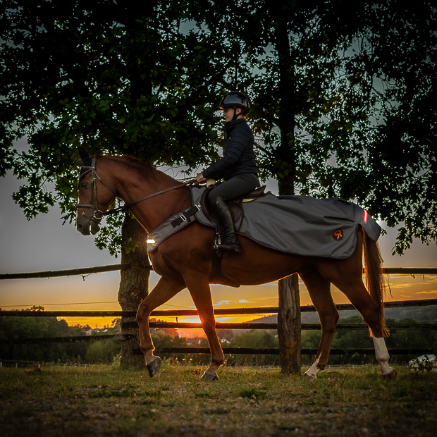 reiter auf seinem pferd mit der led decke new york mit beleuchtung in der dunkelheit beim ausreiten bei sonnenuntergang