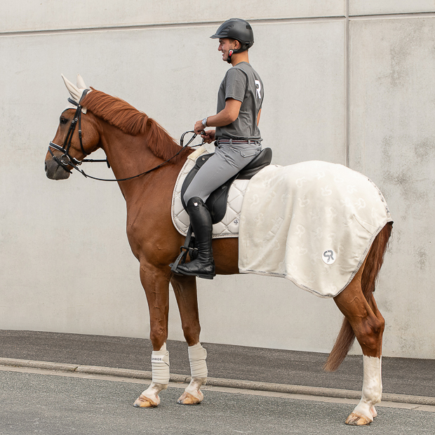 wellington set beige including cooler rug, saddle pad, fly hood and bandages wellington set beige with matching cooler rug, ear net, saddle pad and bandages by sunride on a horse with rider