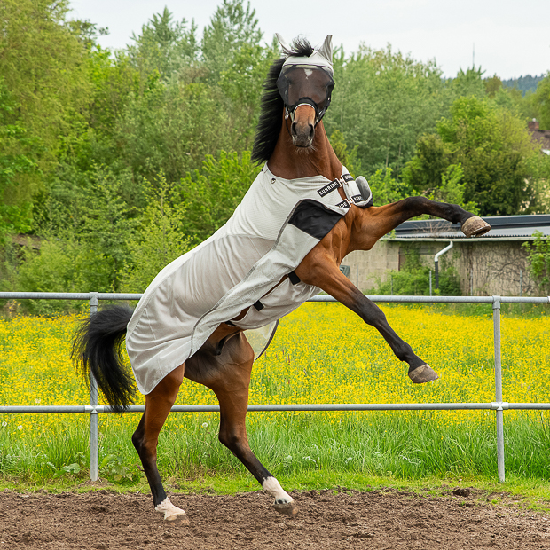 Fly Mask "Dubai"