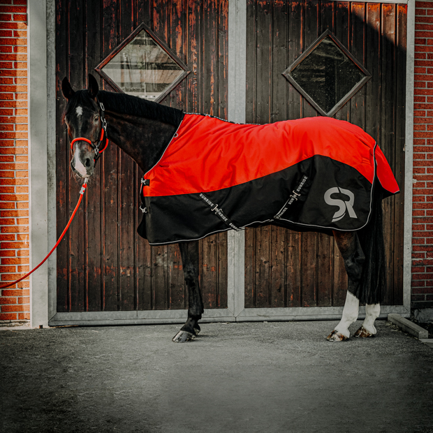 horse with red cord leather halter and winter rug helsinki 250 grams red red helsinki winter rug with 250 grams filling and reflecting elements and red leather cord halter by sunride on a horse in front of a stable