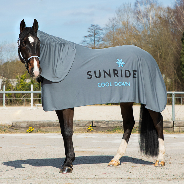 light grey cooling rug cool down including neck part and extra fabric on a horse