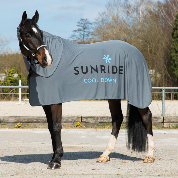 light grey cooling rug cool down including neck part and extra fabric on a horse