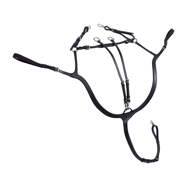 Vorderzeug “Ascot” mit Martingal als 3-Punkt und 5-punkt nutzbar