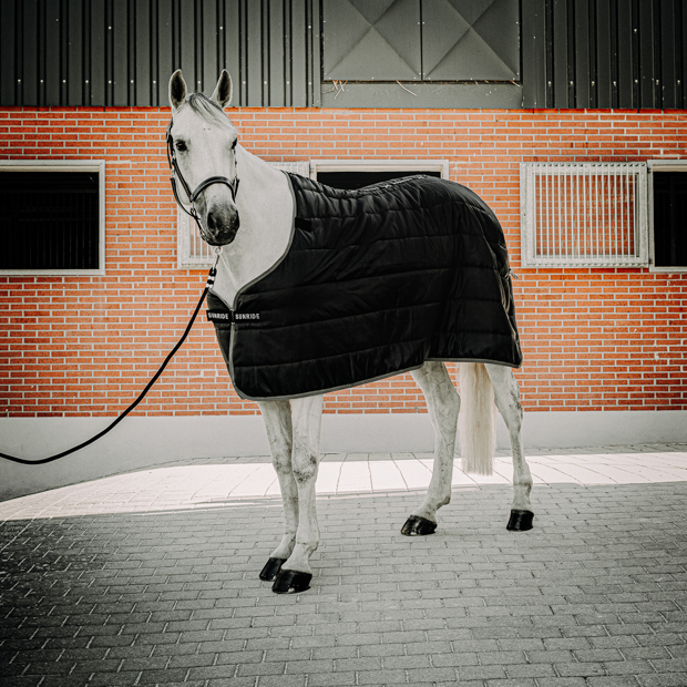 horse with black under rug 150 grams filling and black leather halter dallas black under rug with 150 grams filling compatible with all sunride winter and rain rugs and black leather halter dallas on a horse in front of stable