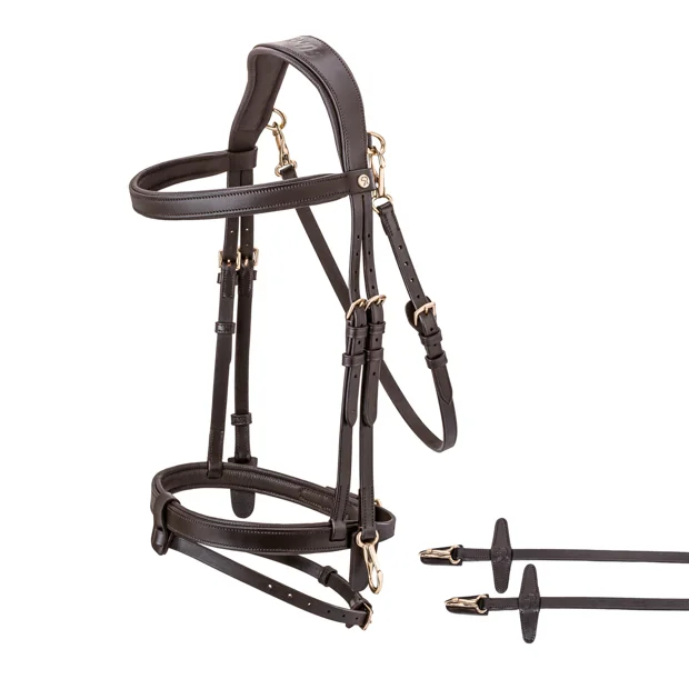 English combined bridle "Berlin" with reins