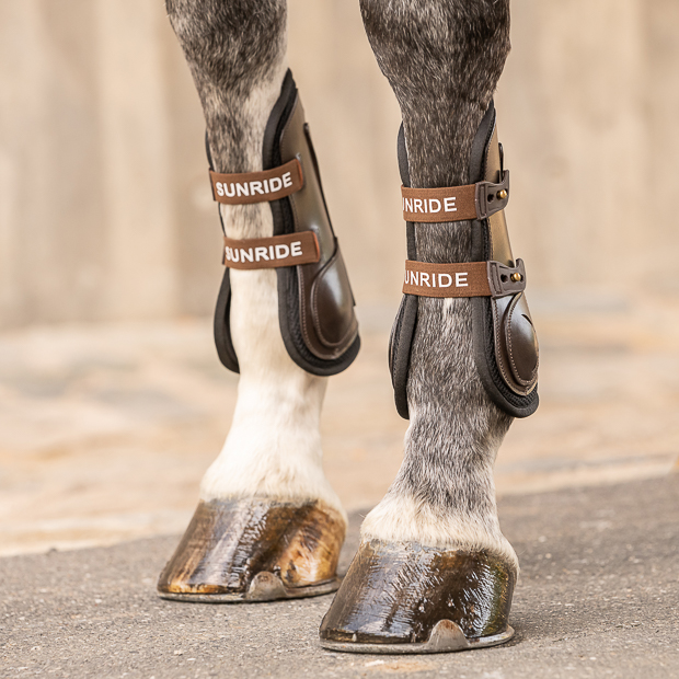 leder springgamaschen  braun mit elastischen  strippen  am pferdebein leder springgamaschen  braun mit elastischen  strippen und sunride schriftzug