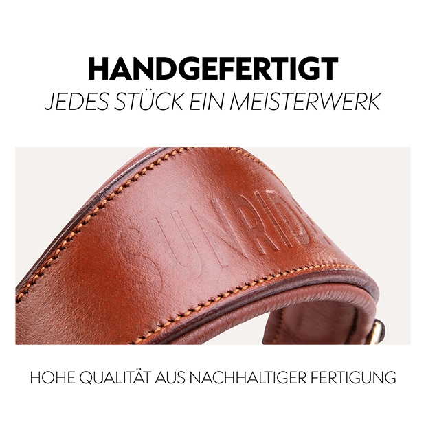 English combined bridle "Berlin" with reins