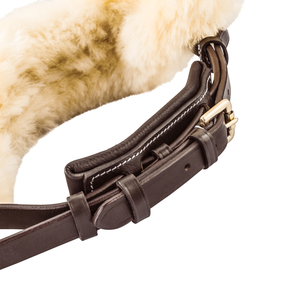 detailed view of padded nose band of brown swedish leather bridle oxford with golden mounting and fur padding including reins by sunride