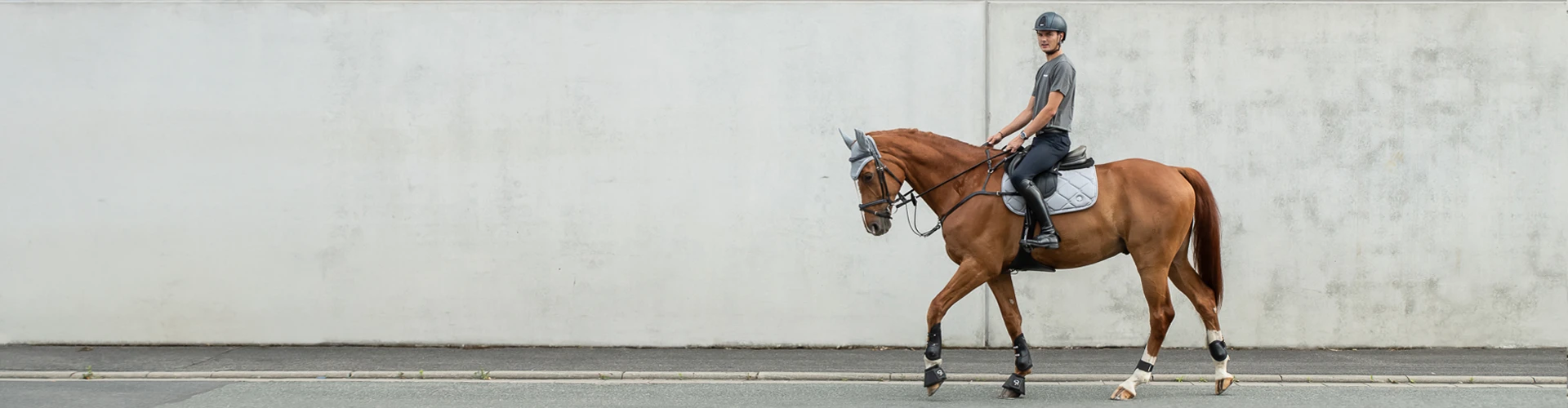 Ein Reiter reitet ein Pferd im Schritt an einer hellen Wand entlang Das Pferd trägt ein graues Set aus Schabracke und Fliegenohren von Sunride