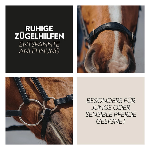 Hanoverian bridle "Hannover" with reins