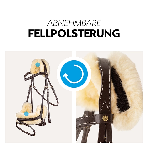 Schwedische Trense "Oxford" mit Zügel