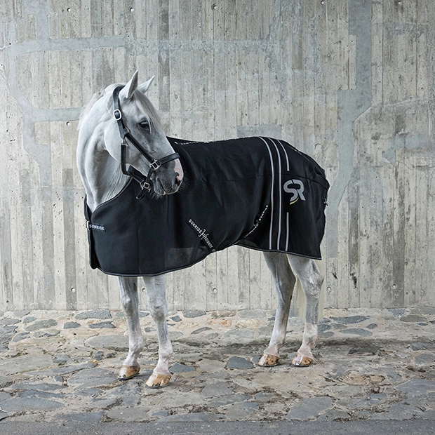 Regendecke 0g mit Unterdecke 50g "Glasgow-UltraDry-System" Regendecke 0g mit Unterdecke 50g "Glasgow-UltraDry-System"