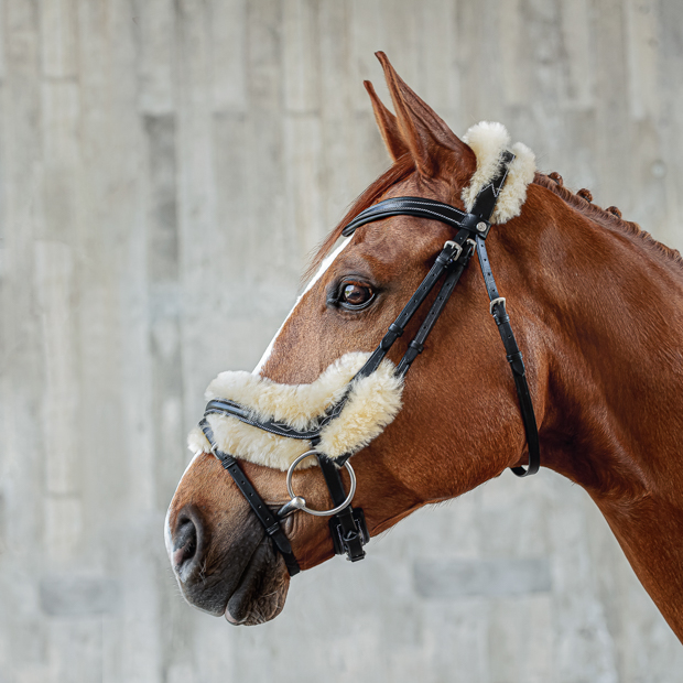 black swedish leather bridle oxford with silver mounting and fur padding including reins by sunride on a horse