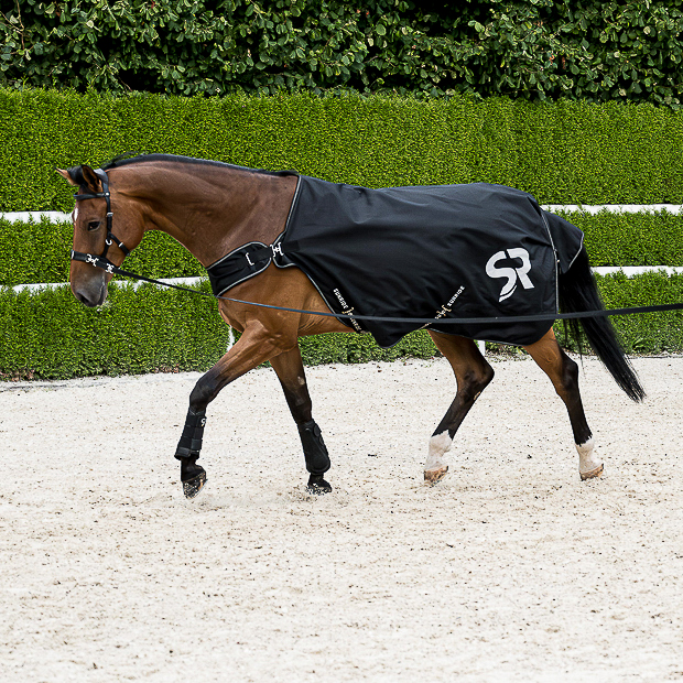 Führanlagendecke "Cornwell" (1200D) Führanlagendecke "Cornwell" (1200D)