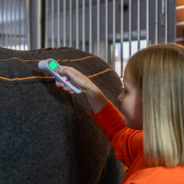 waermebereich der grauen heizdecke von sunride mit seiner reiterin in der stallgasse