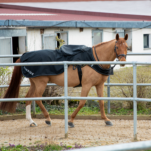 workout rug derby black with saddle cover on a horse while walking