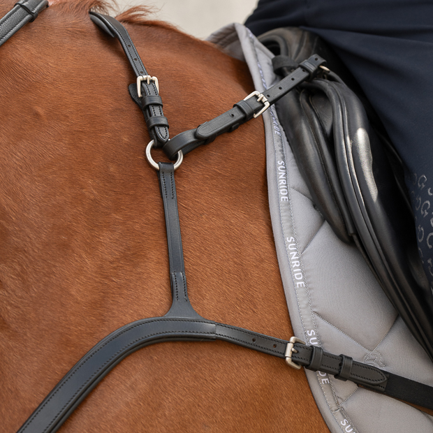 ascot leather breastplate with detachable martingal and choice of 3 point or 5 point fixation showing optional 5 point fixation on a horse