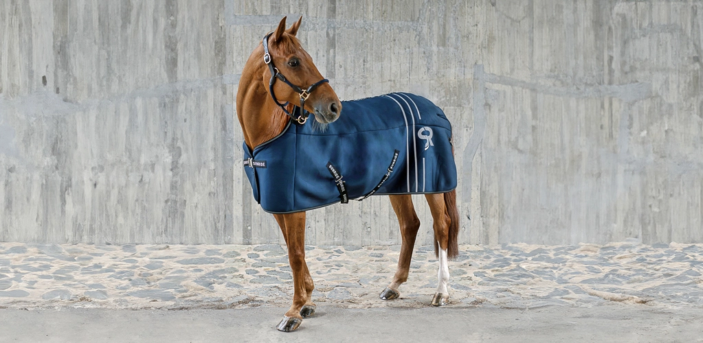 Unterdecke Ein Pferd steht vor einer grauen Betonwand und trägt eine blaue Unterdecke