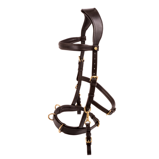 cavesson bridle ely in brown leather with golden mounting including reins by sunride