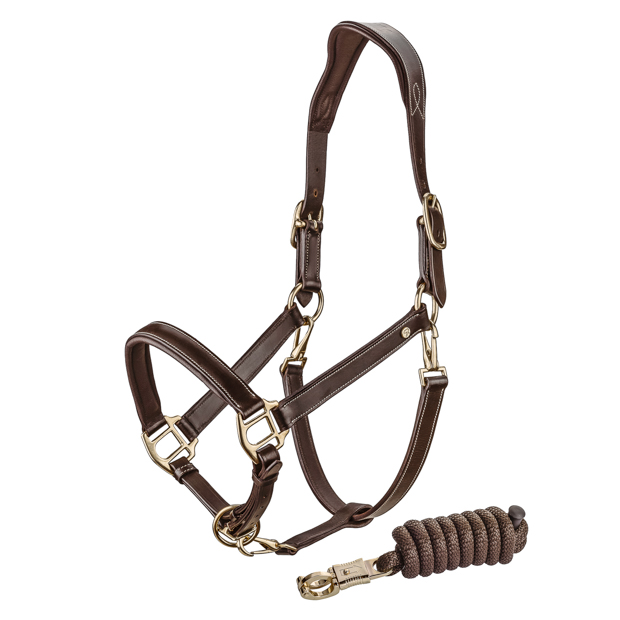 brown leather halter dallas with golden mounting including matching lead rope by sunride