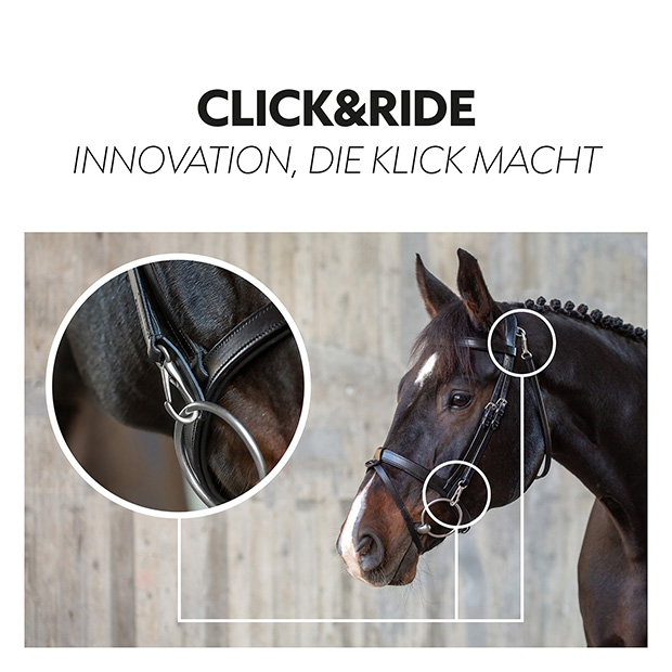 English combined bridle "Berlin" with reins