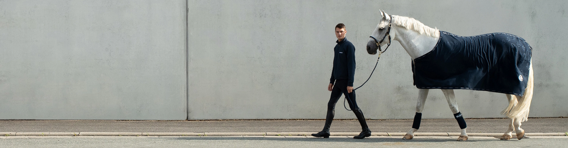 A horse wearing a SUNRIDE fleece cooler in blue in front of a gray wall.