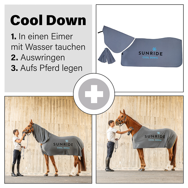 instruction manual of cooling rug cool down in light grey by sunride on a horse