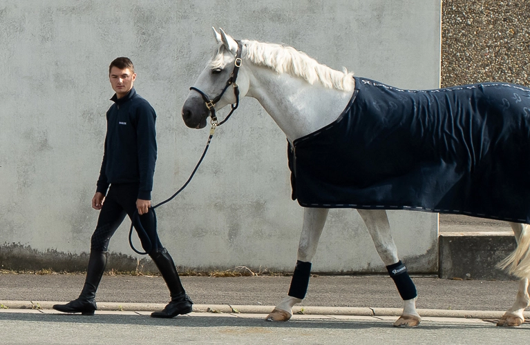 Abschwitzdecke Wellington in Blau Ein Pferd mit SUNRIDE  Fleece Abschwitzdecke in Blau vor einer grauen Wand