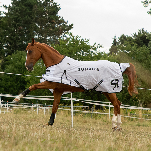 fly rug miami white including detachable neck part on the horse