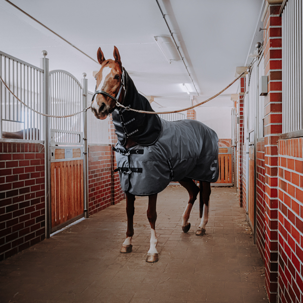 black leather halter dallas and grey alaska winter rug with 450 grams filling and reflecting elements and red leather cord halter by sunride on a horse in a stable