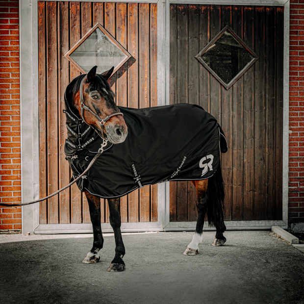 combination of black rain rug dublin with 50 grams filling and reflecting elements and the matching neck part by sunride on a horse in front of the stable