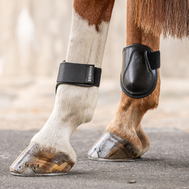 black low leather fetlock boots with velcro closure on a horse leg