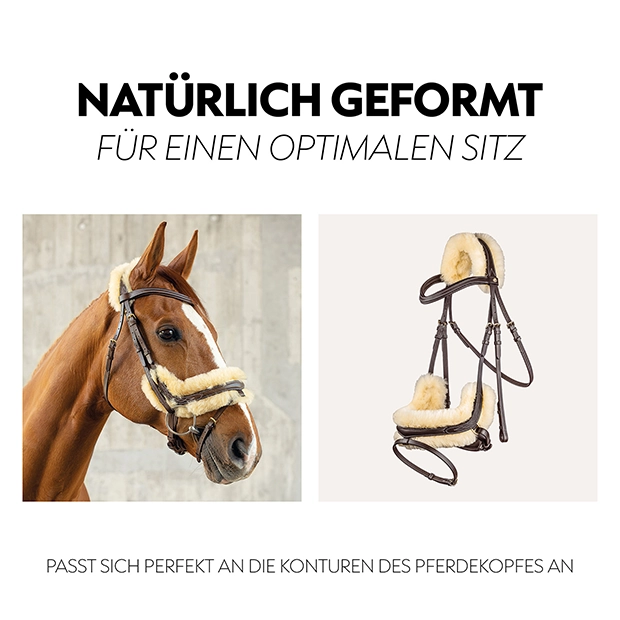 Schwedische Trense "Oxford" mit Zügel