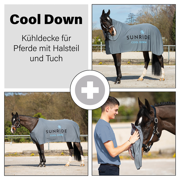 set description of cooling rug cool down in light grey by sunride on a horse