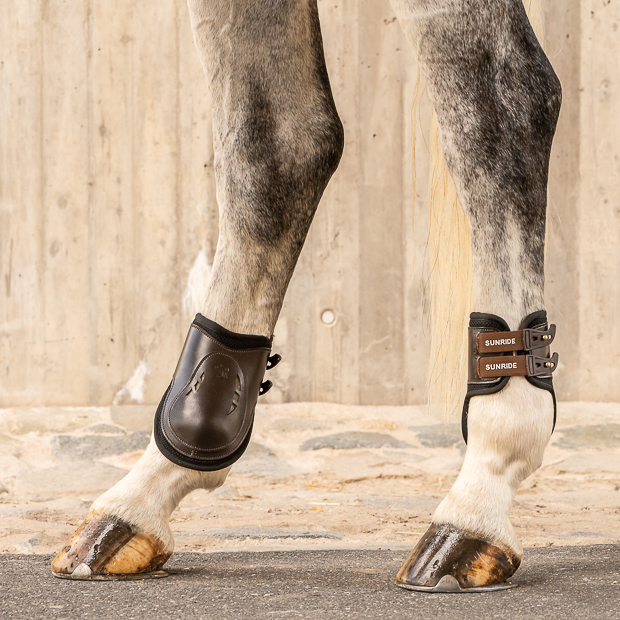 braune streichkappen aus leder mit elastischen zuegen von sunride am pferd