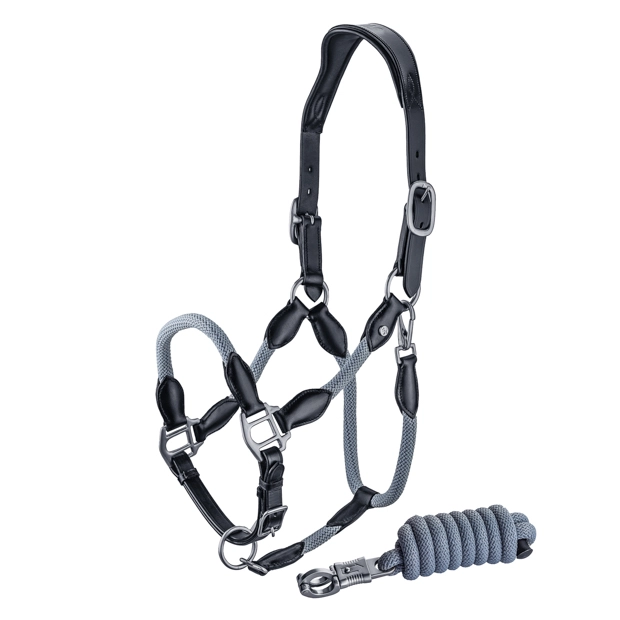 black leather halter with grey ropes and golden mounting denver including lead rope by sunride