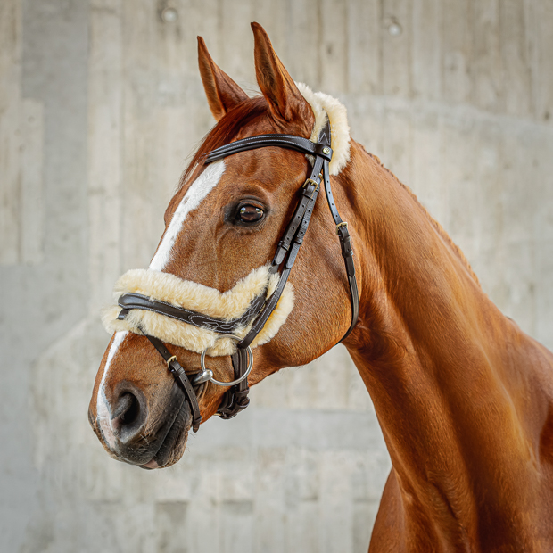 horse with brown swedish leather bridle with fur padding oxford including reins brown swedish leather bridle oxford with golden mounting and fur padding including reins by sunride on a horse