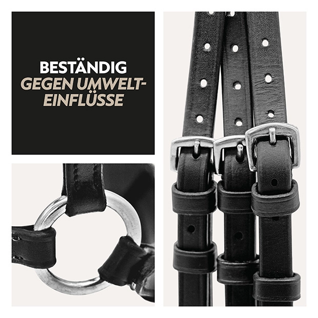 Hanoverian bridle "Hannover" with reins Hanoverian bridle "Hannover" with reins