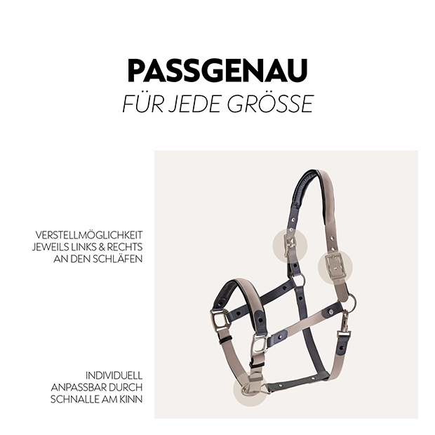 Biothane Halfter mit Strick