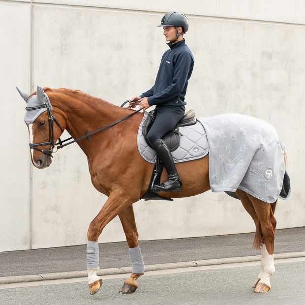 wellington set grau mit abschwitzdecke, fleece bandagen, satteldecke sowie passendem elastischen fliegenhaube am pferd mit reiter
