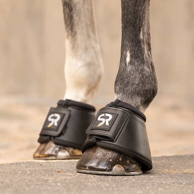 black leather bell boots with neoprene inside and velcro closure on a horse