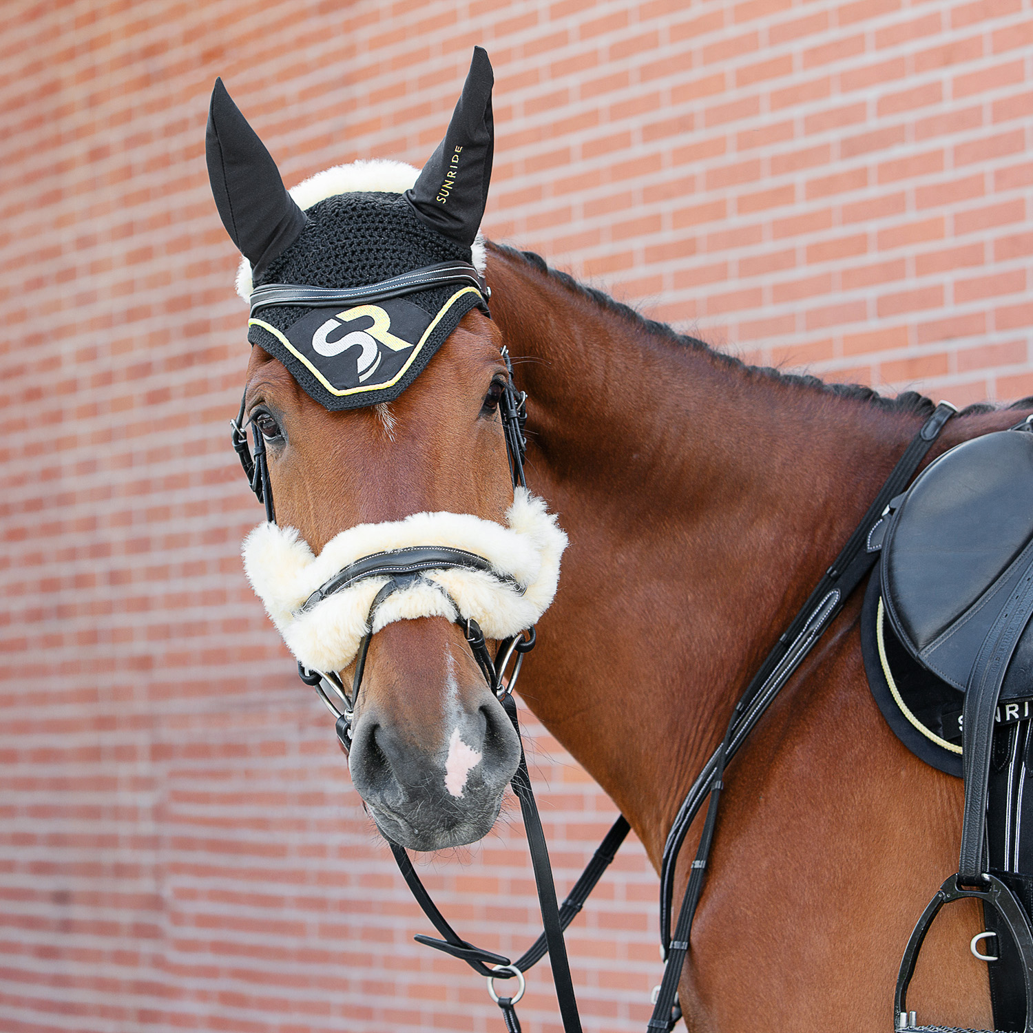 Ein Pferd trägt eine Fliegenhaube in Gold aus der Exclusive Line von Sunride und eine passende Trense