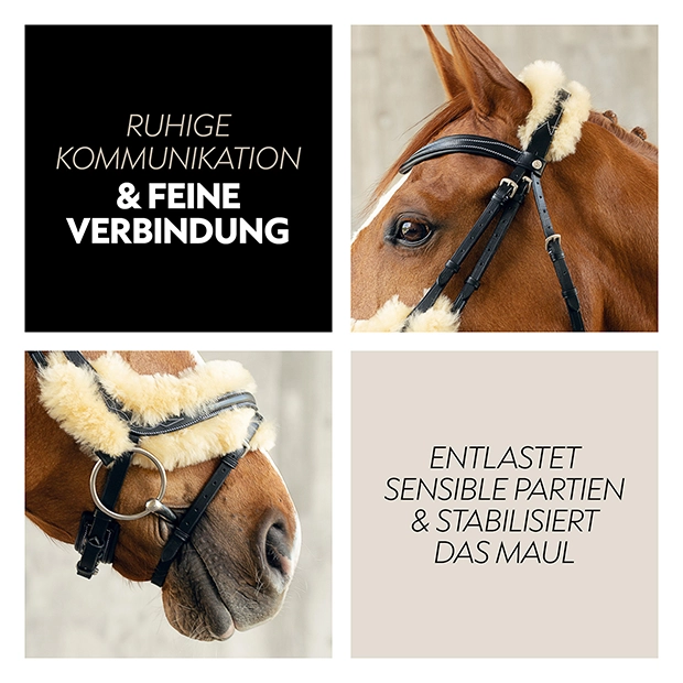 Schwedische Trense "Oxford" mit Zügel