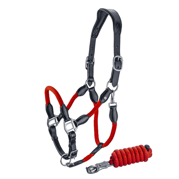 black leather halter with red ropes and golden mounting denver including lead rope by sunride