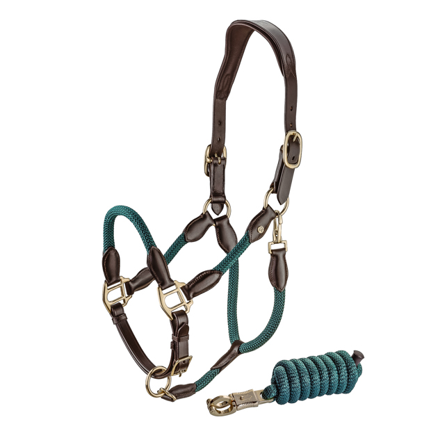 brown leather halter with green ropes and golden mounting denver including lead rope by sunride